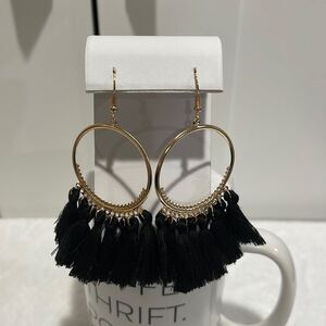NWOT Tassel hoop fishhook earrings